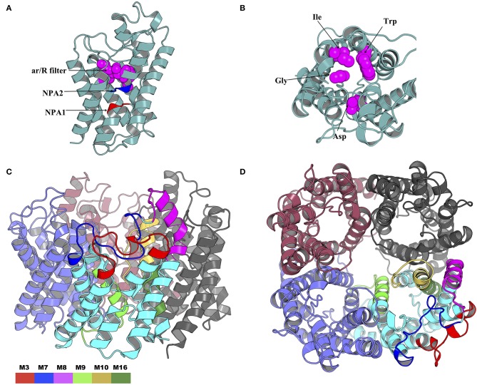 Figure 10