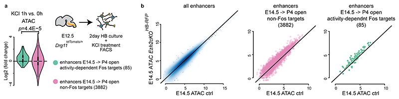 Extended Data Fig. 8