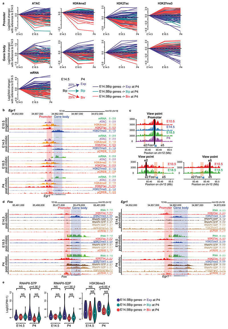 Extended Data Fig. 6