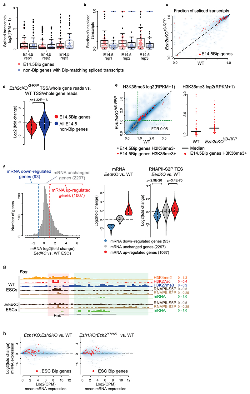 Extended Data Fig. 7