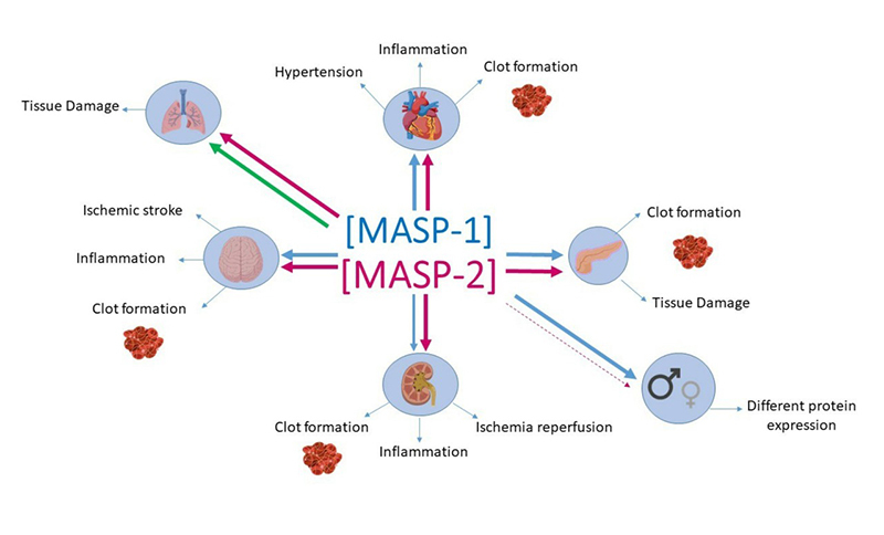 Figure 5 -