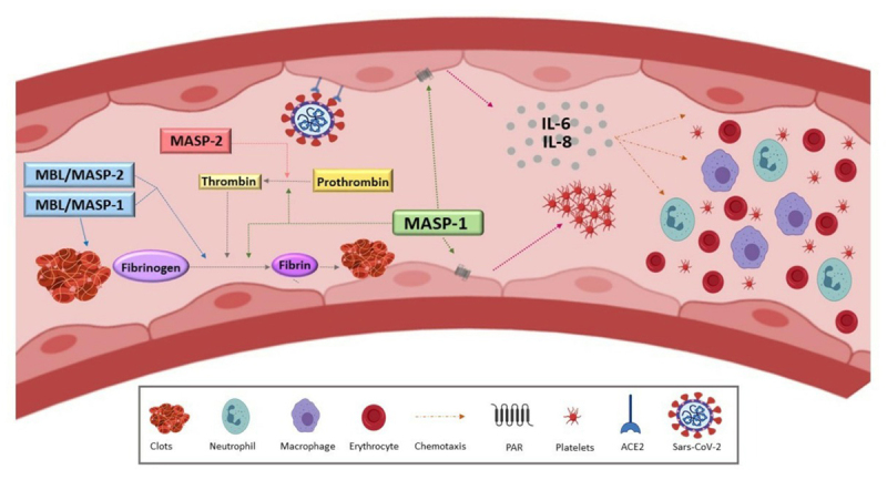 Figure 3 -