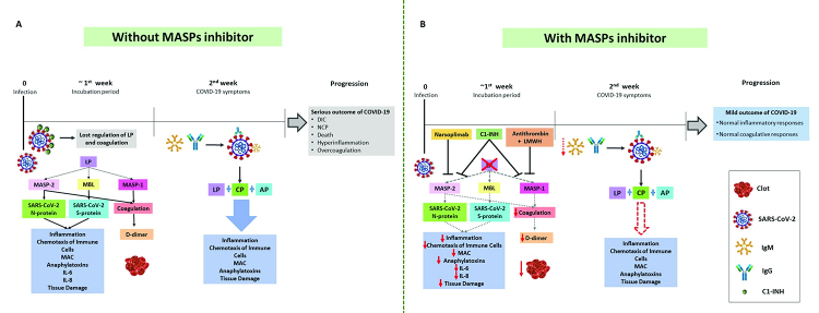 Figure 4 -