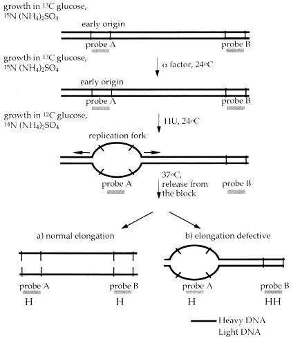 graphic file with name cdd209f5.jpg