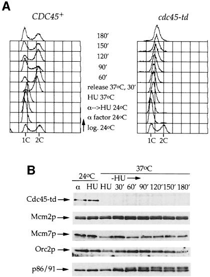 graphic file with name cdd209f3.jpg