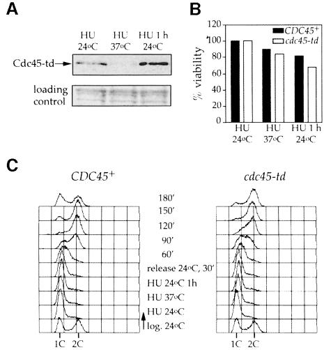 graphic file with name cdd209f4.jpg