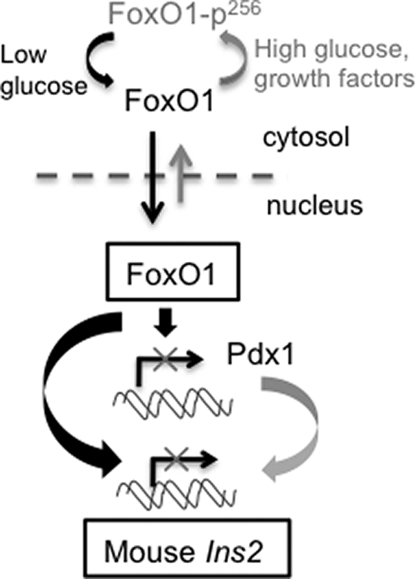 FIGURE 8.