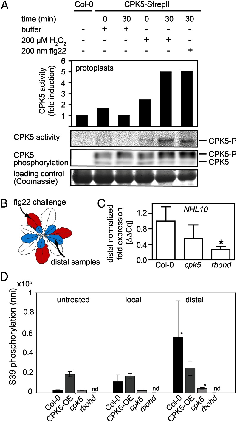 Fig. 4.