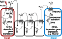 Fig. 5.