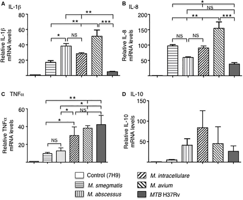 FIGURE 3