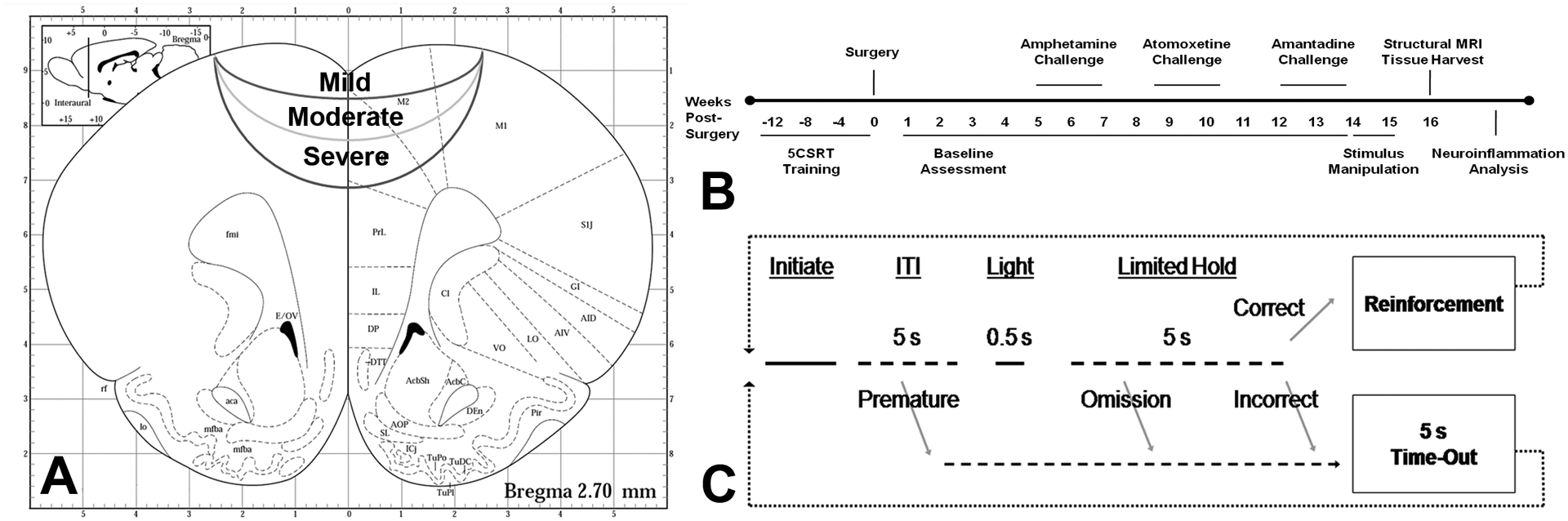 Figure 1.