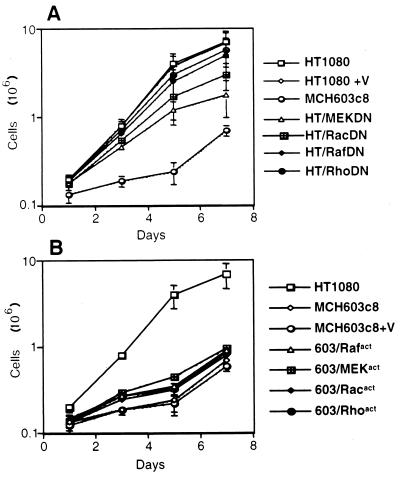 FIG. 6