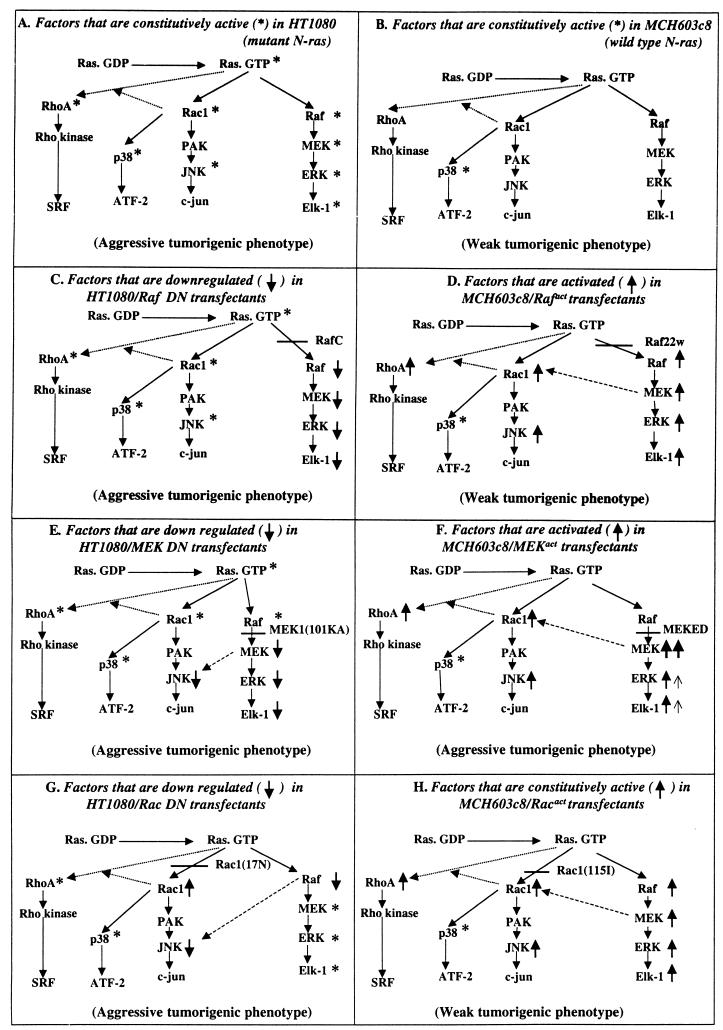 FIG. 9