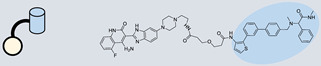 graphic file with name ncrna-10-00017-i047.jpg