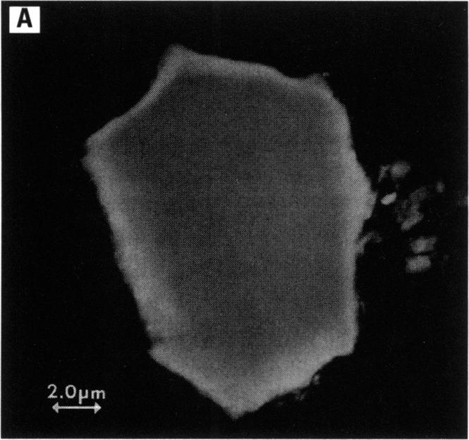 Figure 13. A