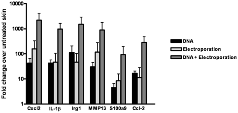 Figure 5