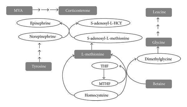 Figure 9