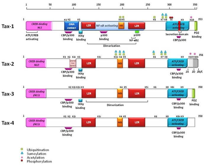 FIGURE 2