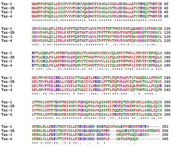 FIGURE 3