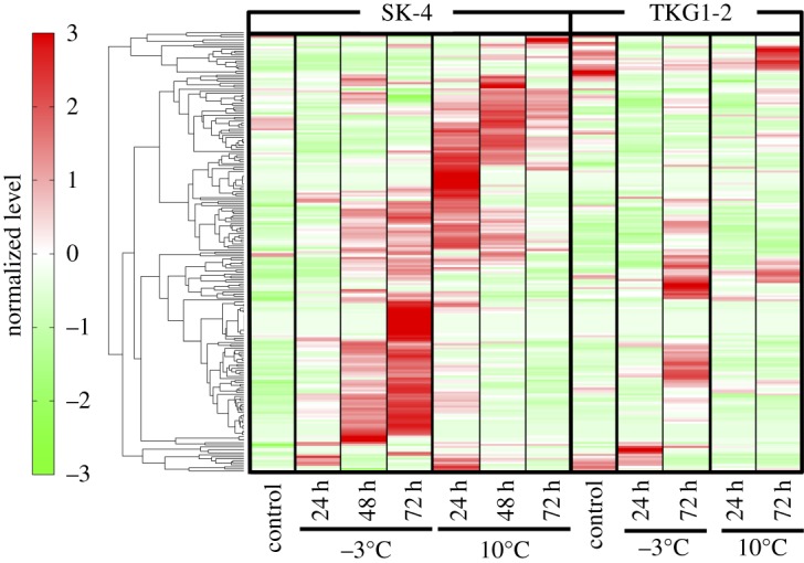 Figure 2.