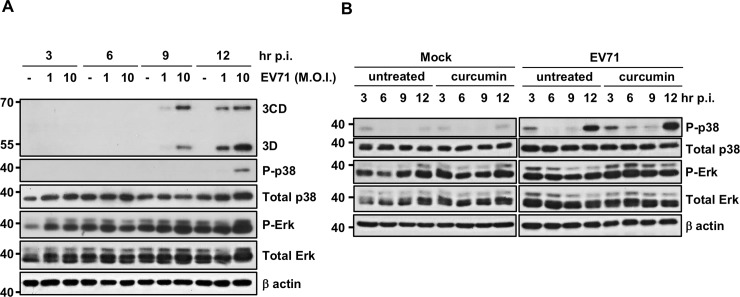 Fig 5