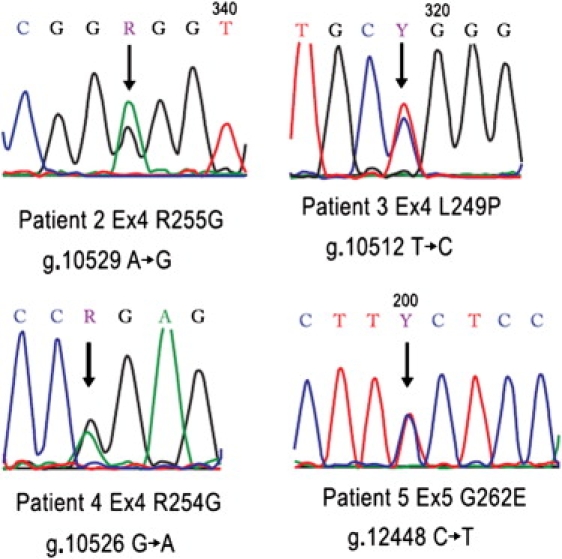 Figure 3