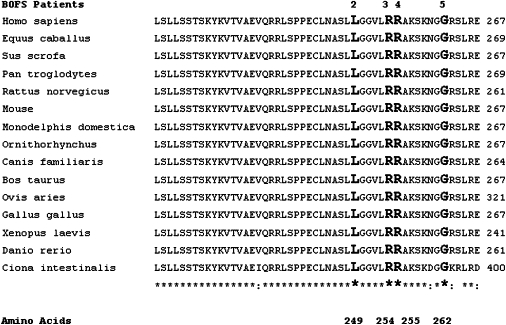 Figure 4