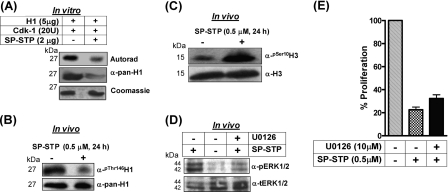 FIGURE 11.