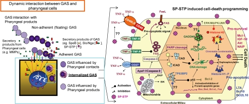 FIGURE 12.