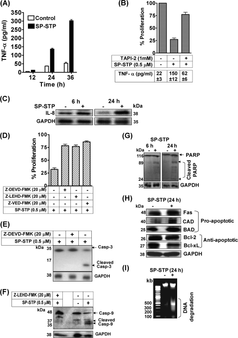 FIGURE 10.