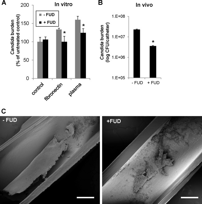 FIG 2