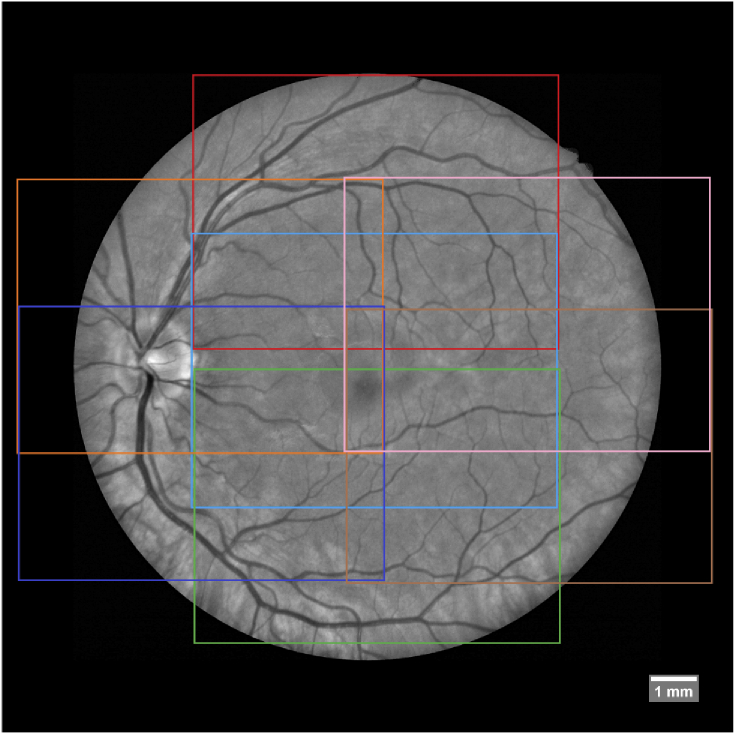 Fig. 1.