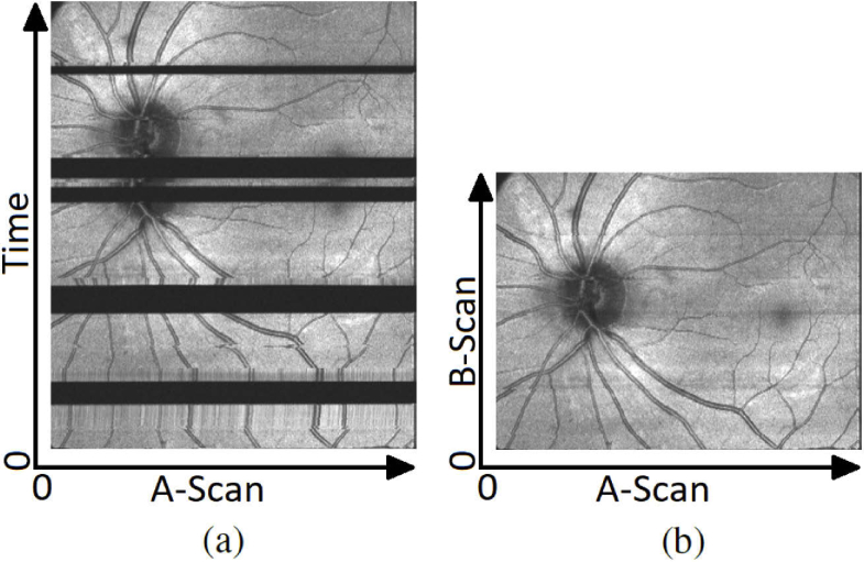 Fig. 10.