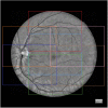 Fig. 1.