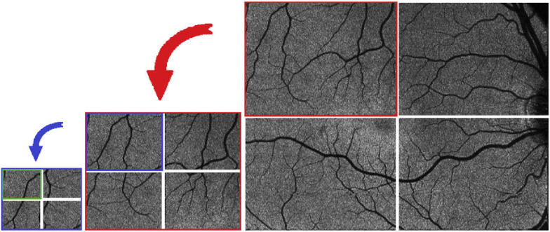 Fig. 7.