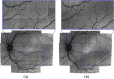 Fig. 8.