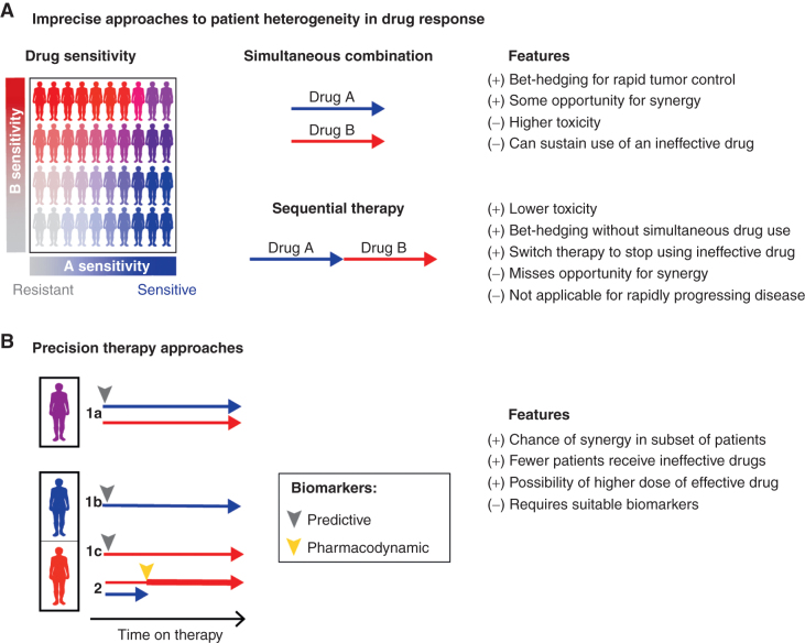 Figure 6. Possible strategies for combining multiple cancer drugs. Patient heterogeneity in drug response presents a fundamental challenge in designing combination cancer therapies. A, Existing, imprecise strategies for use of multiple drugs include first-line combination therapies for all patients and sequential therapy. B, Precision-based approaches can use pretreatment predictive biomarkers to select one or more agents likely to be active in a given patient (patients labeled 1a, 1b, and 1c), or use on-treatment pharmacodynamic biomarkers (patient 2) to identify which agents are active or inactive in a patient to stop use of an inactive agent and increase dose of an active agent (particularly if combination therapy required dose reduction). Here, treatment “arrows” are to compare strategies and are not intended to evaluate response duration.