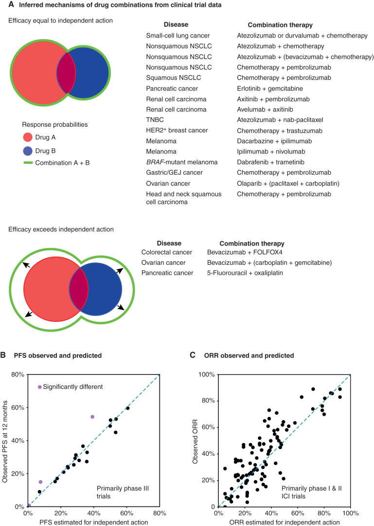 Figure 4. Independent drug action explains the survival benefit of many drug combinations. A, Combination therapies with efficacy equal to or greater than independent action simulations, based on analysis of clinical trial PFS data (52, 74). Parentheses denote combinations tested as a single arm of a clinical trial. GEJ, gastroesophageal junction; NSCLC, non–small cell lung cancer; TNBC, triple-negative breast cancer. B, Observed combination PFS at 12 months (mostly from phase III clinical trials) correlates with 12-month PFS estimated by independent action simulations (n = 21 combinations). Note that differences from the independent action predictions (black or purple color) were calculated using longitudinal data over the total trial length. C, Observed combination ORR (mostly from phase I and II trials) correlates with ORR estimated by independent action (n = 100 combinations; ref. 78).