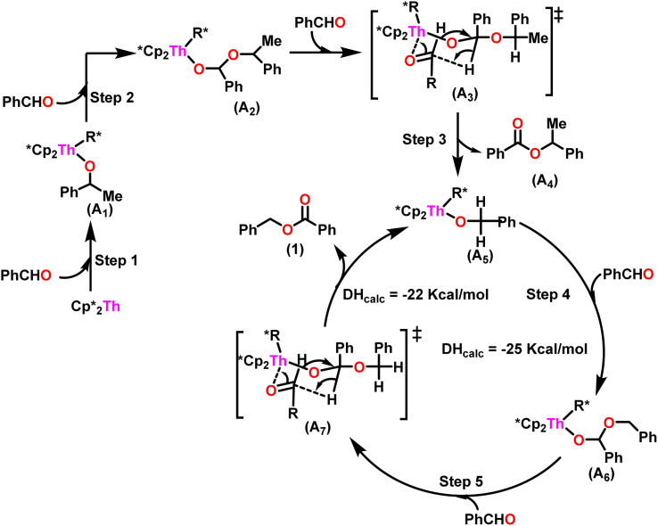 Scheme 7