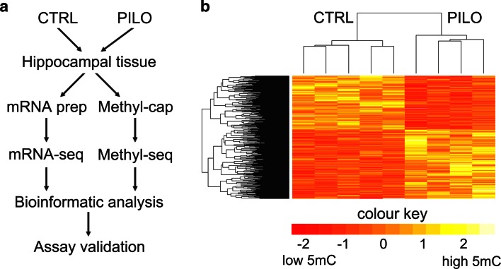 Fig. 1