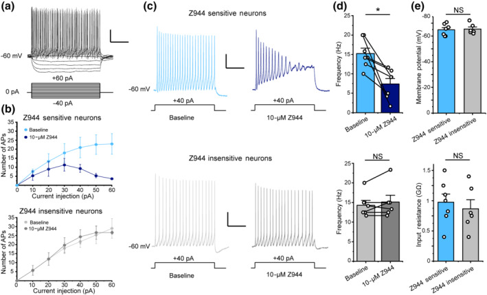 FIGURE 3