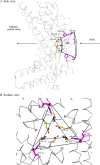 FIGURE 1.