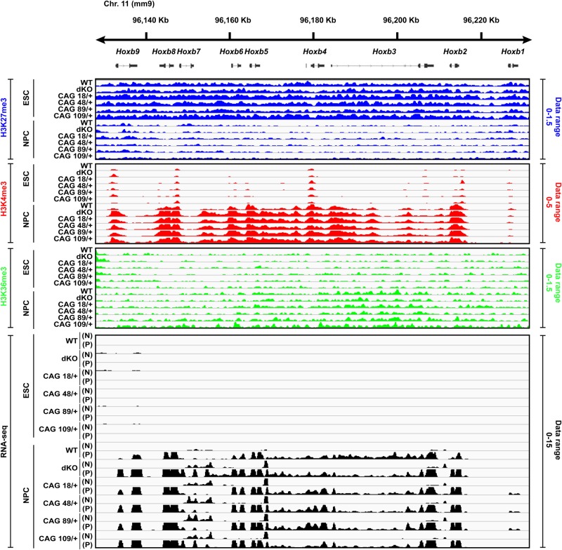 Figure 3.