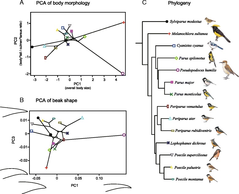 Fig. 2