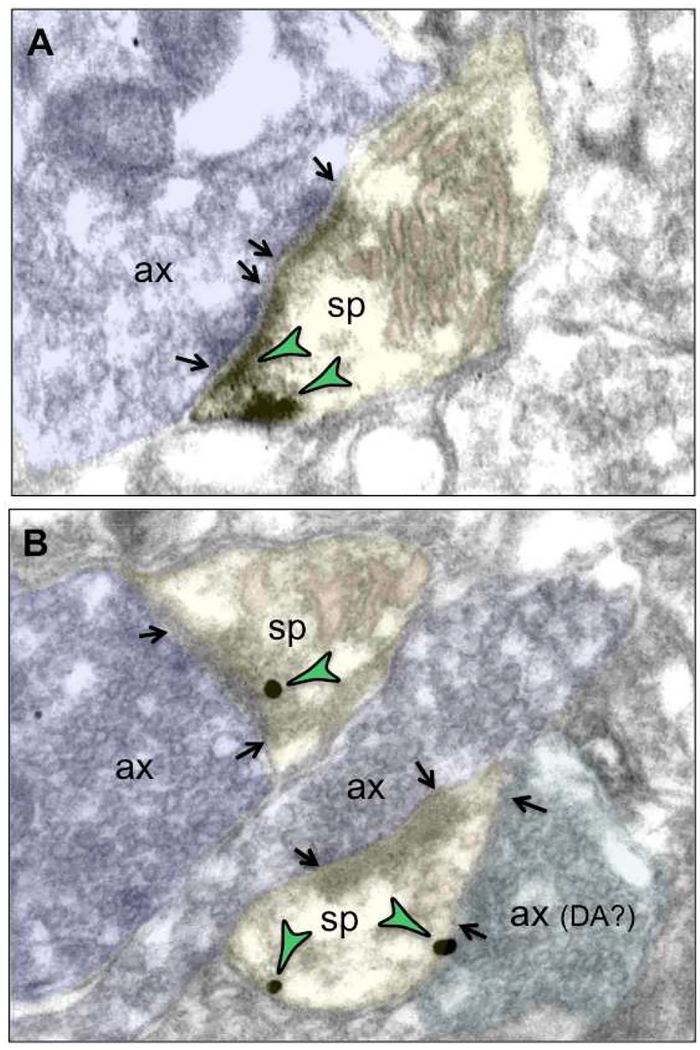 Figure 10-