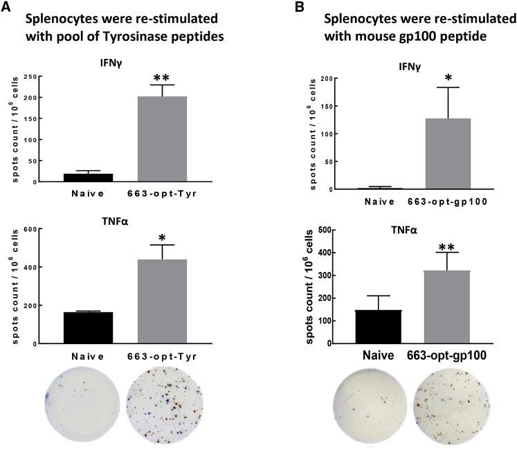 Figure 6