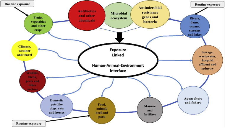 Figure 5