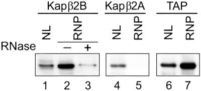 Fig 4.