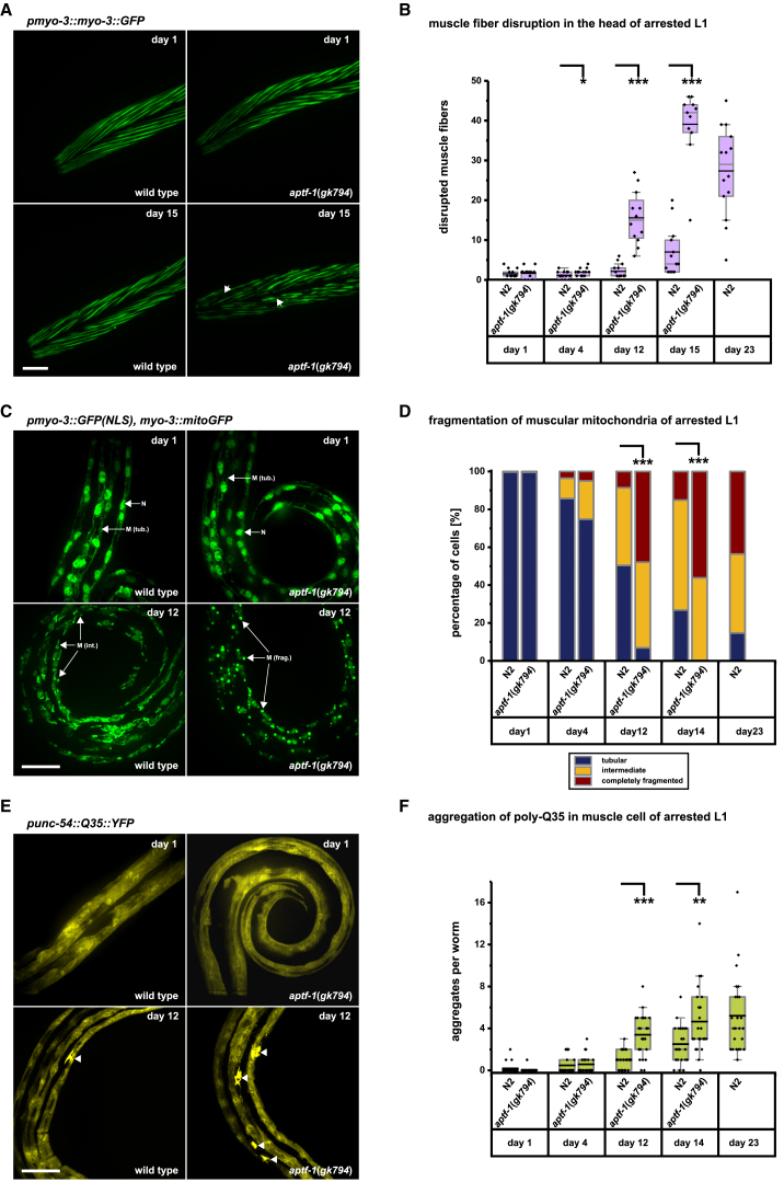 Figure 6