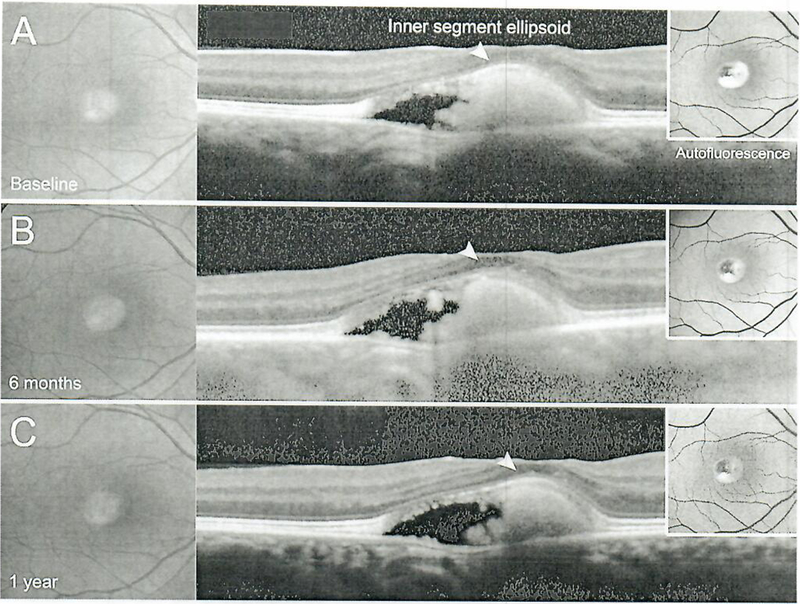 Fig. 8.